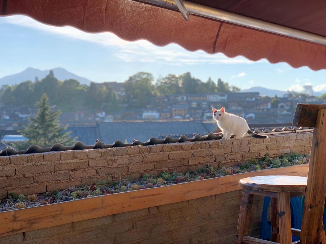 第三极国际青旅花巷店 Lijiang (Yunnan) Buitenkant foto